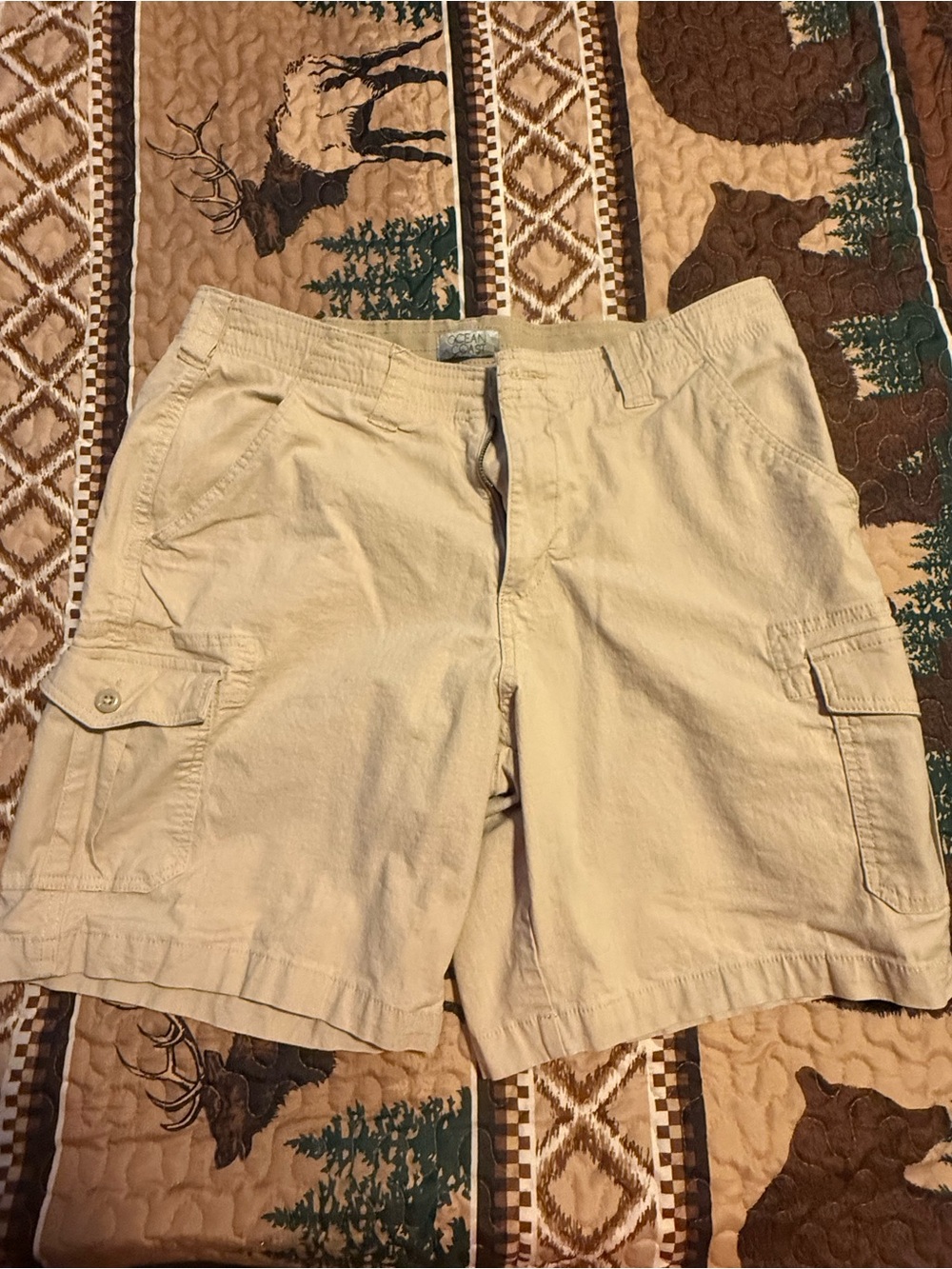 Ocean Coast Khaki Shorts